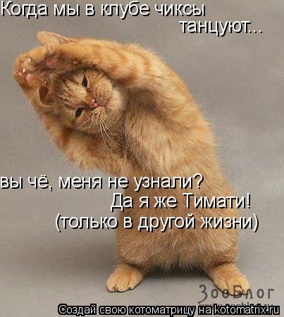 Когда мы в клубе чиксы танцуют... вы чё, меня не узнали? Да я же Тимати! (только в другой жизни)... Котоматрица: Когда мы в клубе чиксы танцуют... вы чё, меня не узнали? Да я же Тимати! (только в другой жизни)