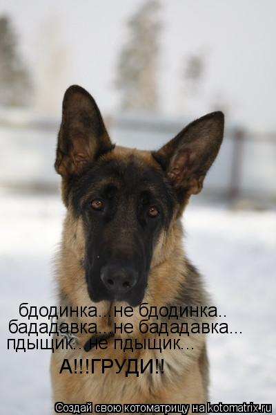 бдодинка...не бдодинка.. бададавка...не бададавка... пдыщик...не пдыщик... А!!!ГРУДИ!!... Котоматрица: бдодинка...не бдодинка.. бададавка...не бададавка... пдыщик...не пдыщик... А!!!ГРУДИ!!