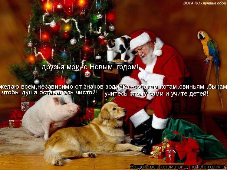 друзья мои, с Новым годом! желаю всем,независимо от знаков зодиака -собакам,котам,свиньям ,быкам... ... Котоматрица: друзья мои, с Новым годом! желаю всем,независимо от знаков зодиака -собакам,котам,свиньям ,быкам... ,чтобы душа оставалась чистой! учитесь эт