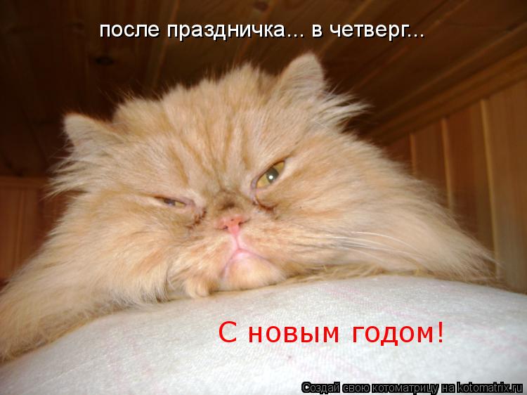 после праздничка... в четверг... С новым годом!... Котоматрица: после праздничка... в четверг... С новым годом!