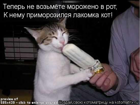 Теперь не возьмёте морожено в рот, К нему приморозился лакомка кот!... Котоматрица: Теперь не возьмёте морожено в рот, К нему приморозился лакомка кот!