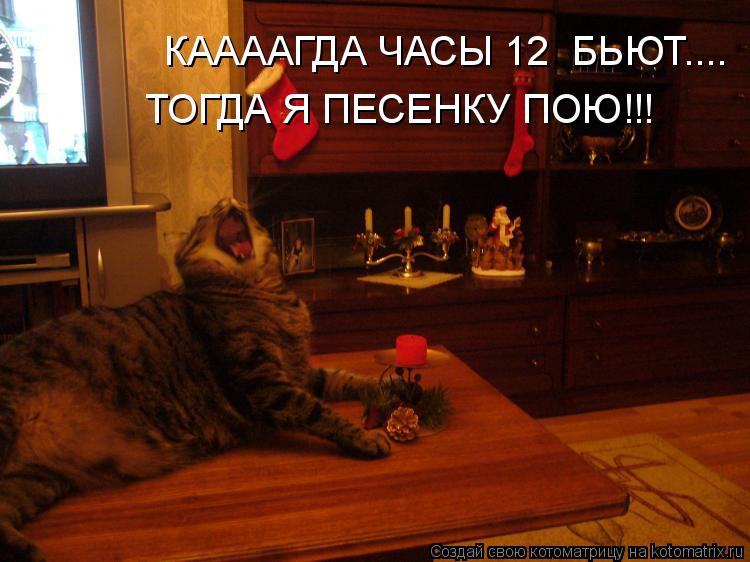 КААААГДА ЧАСЫ 12 БЬЮТ.... ТОГДА Я ПЕСЕНКУ ПОЮ!!!... Котоматрица: КААААГДА ЧАСЫ 12 БЬЮТ.... ТОГДА Я ПЕСЕНКУ ПОЮ!!!