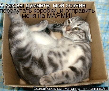 А как вы думаете, мой хозяин перепутать коробки, и отправить меня на МАЯМИ!... Котоматрица: А как вы думаете, мой хозяин перепутать коробки, и отправить меня на МАЯМИ!