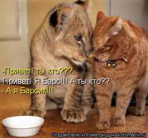 -Привет! ты кто??? -Привет! Я Барс!!! А ты кто?? - А я Барсик!!!... Котоматрица: -Привет! ты кто??? -Привет! Я Барс!!! А ты кто?? - А я Барсик!!!