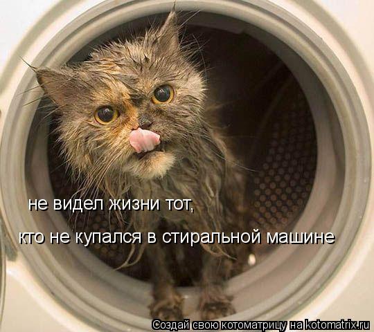 не видел жизни тот, кто не купался в стиральной машине... Котоматрица: не видел жизни тот, кто не купался в стиральной машине