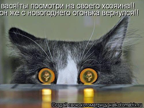 вася!ты посмотри на своего хозяина!! он же с новогоднего огонька вернулся!!... Котоматрица: вася!ты посмотри на своего хозяина!! он же с новогоднего огонька вернулся!!