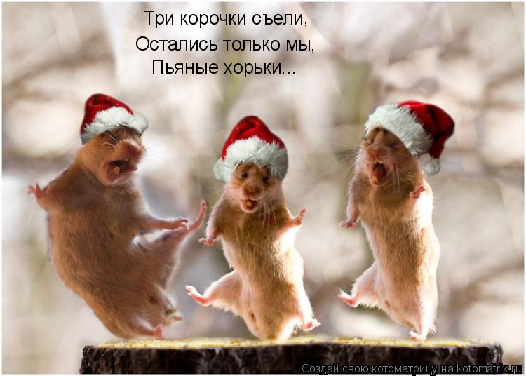 Три корочки съели Остались только мы , Пьяные хорьки... ,... Котоматрица: Три корочки съели Остались только мы , Пьяные хорьки... ,