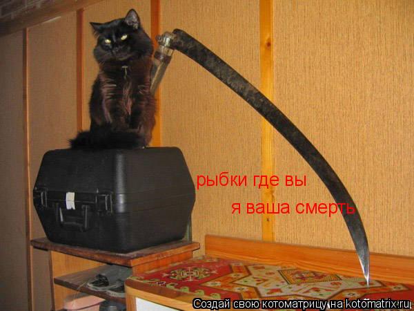рыбки где вы я ваша смерть... Котоматрица: рыбки где вы я ваша смерть