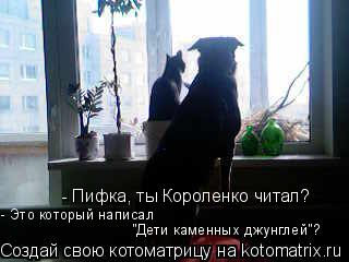 - Пифка, ты Короленко читал? - Это который написал "Дети каменных джунглей"?... Котоматрица: - Пифка, ты Короленко читал? - Это который написал "Дети каменных джунглей"?