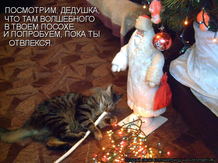 ПОСМОТРИМ, ДЕДУШКА, ЧТО ТАМ ВОЛШЕБНОГО В ТВОЕМ ПОСОХЕ. И ПОПРОБУЕМ, ПОКА ТЫ ОТВЛЕКСЯ.... Котоматрица: ПОСМОТРИМ, ДЕДУШКА, ЧТО ТАМ ВОЛШЕБНОГО В ТВОЕМ ПОСОХЕ. И ПОПРОБУЕМ, ПОКА ТЫ ОТВЛЕКСЯ.