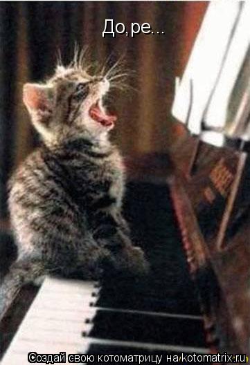 До,ре...... Котоматрица: До,ре...