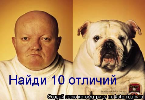 Найди 10 отличий... Котоматрица: Найди 10 отличий