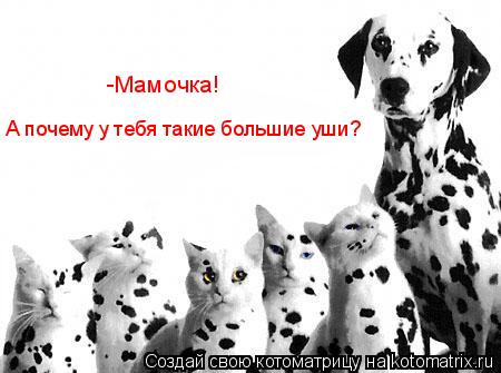 А почему у тебя такие большие уши? -Мамочка!... Котоматрица: А почему у тебя такие большие уши? -Мамочка!