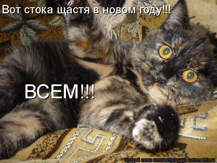 Вот стока щастя в новом году!!! ВСЕМ!!!... Котоматрица: Вот стока щастя в новом году!!! ВСЕМ!!!