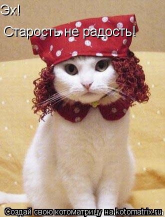 Эх! Старость не радость!... Котоматрица: Эх! Старость не радость!