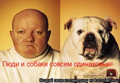 Люди и собаки совсем одинаковые!... Котоматрица: Люди и собаки совсем одинаковые!