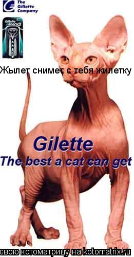 Жылет снимет с тебя жилетку... Котоматрица: Жылет снимет с тебя жилетку