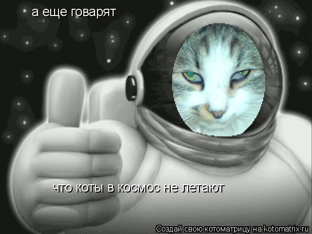 а еще говарят что коты в космос не летают... Котоматрица: а еще говарят что коты в космос не летают