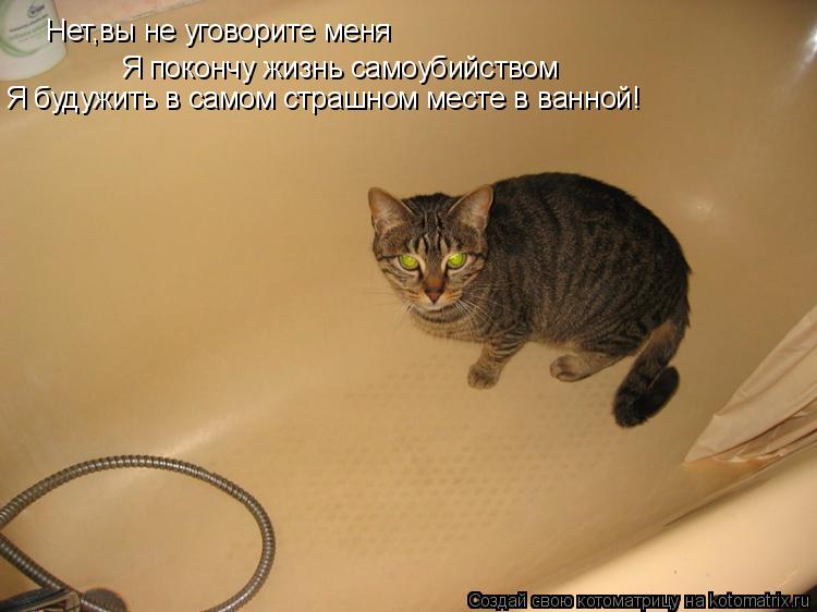 Нет,вы не уговорите меня Я покончу жизнь самоубийством Я будужить в самом страшном месте в ванной!... Котоматрица: Нет,вы не уговорите меня Я покончу жизнь самоубийством Я будужить в самом страшном месте в ванной!