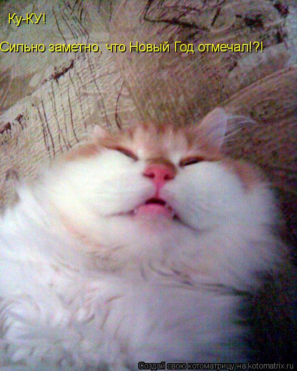 Ку-КУ! Сильно заметно, что Новый Год отмечал!?!... Котоматрица: Ку-КУ! Сильно заметно, что Новый Год отмечал!?!