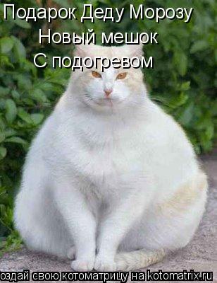 Подарок Деду Морозу Новый мешок С подогревом... Котоматрица: Подарок Деду Морозу Новый мешок С подогревом