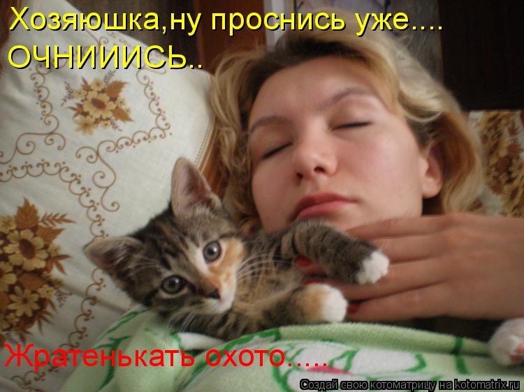 Хозяюшка,ну проснись уже.... ОЧНИИИСЬ.. ... Котоматрица: Хозяюшка,ну проснись уже.... ОЧНИИИСЬ.. Жратенькать охото.....