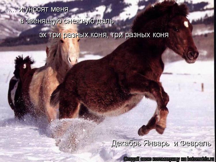 Декабрь Январь и Февраль .... и уносят меня в звенящую снежную даль эх три разных коня, три разных к... Котоматрица: Декабрь Январь и Февраль .... и уносят меня в звенящую снежную даль эх три разных коня, три разных коня