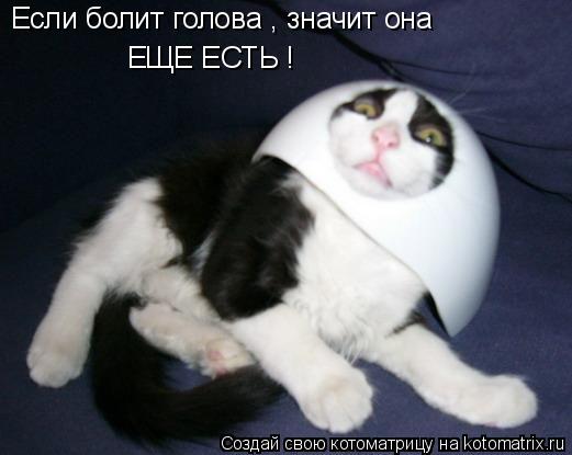 Если болит голова , значит она ЕЩЕ ЕСТЬ !... Котоматрица: Если болит голова , значит она ЕЩЕ ЕСТЬ !