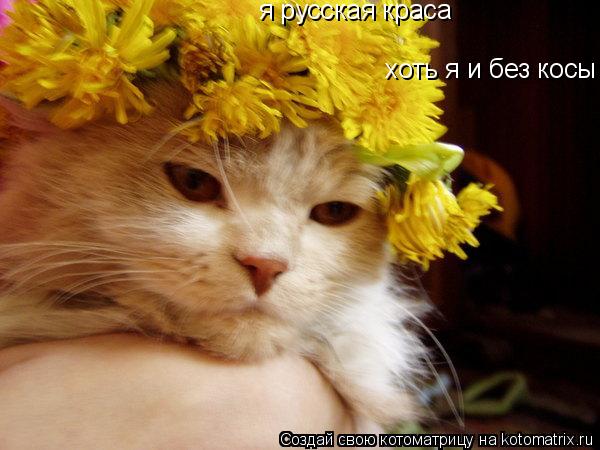 я русская краса хоть я и без косы... Котоматрица: я русская краса хоть я и без косы