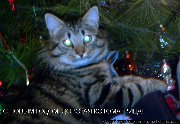 С НОВЫМ ГОДОМ, ДОРОГАЯ КОТОМАТРИЦА!... Котоматрица: С НОВЫМ ГОДОМ, ДОРОГАЯ КОТОМАТРИЦА!