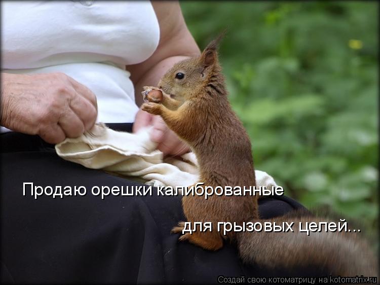 Продаю орешки калиброванные для грызовых целей...... Котоматрица: Продаю орешки калиброванные для грызовых целей...