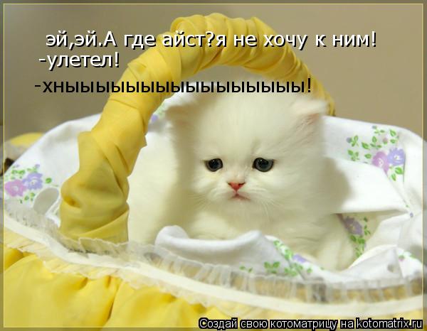 эй,эй.А где айст?я не хочу к ним! -улетел! -хныыыыыыыыыыыыыыыы!... Котоматрица: эй,эй.А где айст?я не хочу к ним! -улетел! -хныыыыыыыыыыыыыыыы!