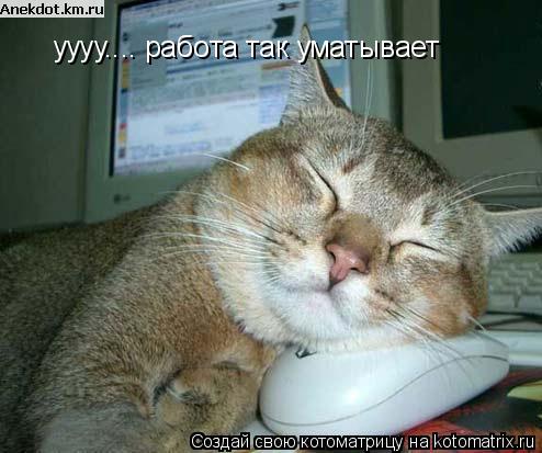 уууу.... работа так уматывает... Котоматрица: уууу.... работа так уматывает