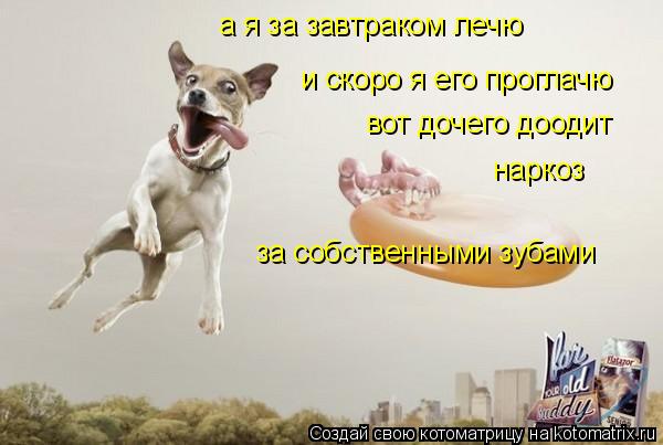 а я за завтраком лечю и скоро я его проглачю вот дочего доодит наркоз за собственными зубами... Котоматрица: а я за завтраком лечю и скоро я его проглачю вот дочего доодит наркоз за собственными зубами