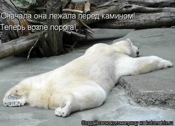 Сначала она лежала перед камином! Теперь возле порога!... Котоматрица: Сначала она лежала перед камином! Теперь возле порога!