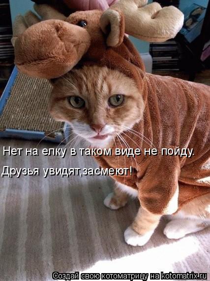 Котоматрица: Друзья увидят,засмеют! Нет на елку в таком виде не пойду.