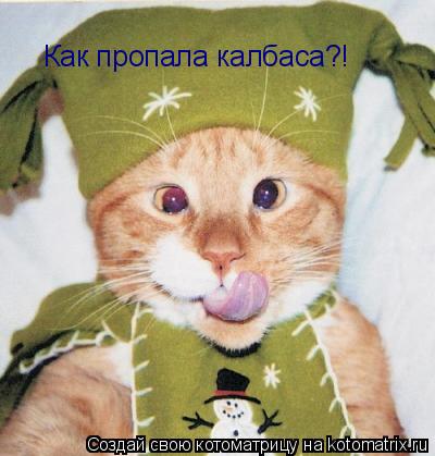 Как пропала калбаса?!... Котоматрица: Как пропала калбаса?!
