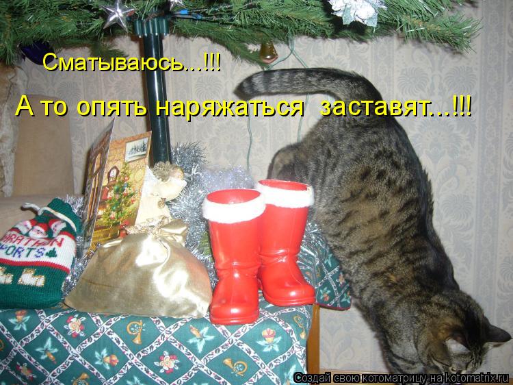 Сматываюсь...!!! А то опять наряжаться заставят...!!!... Котоматрица: Сматываюсь...!!! А то опять наряжаться заставят...!!!