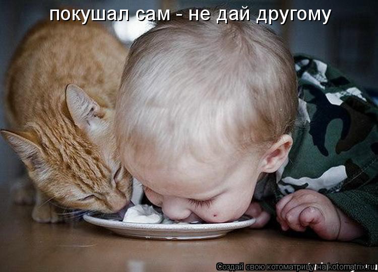 покушал сам - не дай другому... Котоматрица: покушал сам - не дай другому