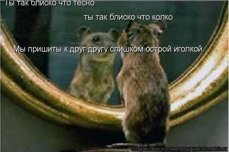 Ты так блиско что тесно ты так блиско что колко Мы пришиты к друг другу слишком острой иголкой... Котоматрица: Ты так блиско что тесно ты так блиско что колко Мы пришиты к друг другу слишком острой иголкой