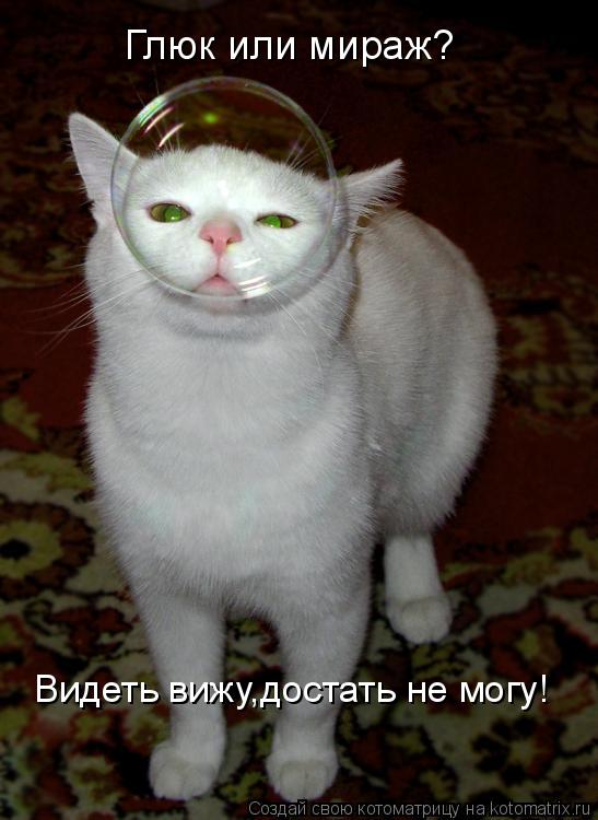 Глюк или мираж? Видеть вижу,достать не могу!... Котоматрица: Глюк или мираж? Видеть вижу,достать не могу!