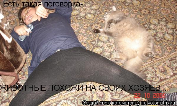 Есть такая поговорка-.. ЖИВОТНЫЕ ПОХОЖИ НА СВОИХ ХОЗЯЕВ...... Котоматрица: Есть такая поговорка-.. ЖИВОТНЫЕ ПОХОЖИ НА СВОИХ ХОЗЯЕВ...