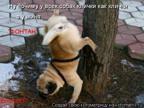 Ну почиму у всех собак клички как клички а у миня "ФОНТАН" EndruJET... Котоматрица: Ну почиму у всех собак клички как клички а у миня "ФОНТАН" EndruJET
