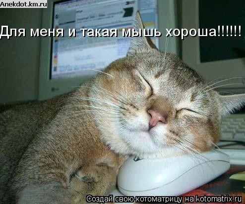Для меня и такая мышь хороша!!!!!!... Котоматрица: Для меня и такая мышь хороша!!!!!!