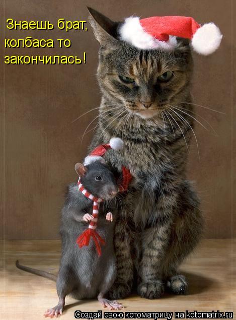 Знаешь брат, колбаса то закончилась !... Котоматрица: Знаешь брат, колбаса то закончилась !