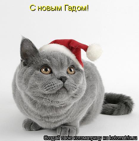С новым Гадом!... Котоматрица: С новым Гадом!