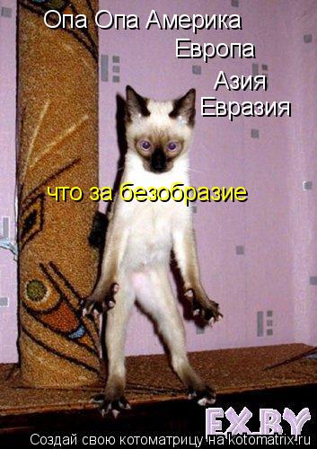 Kotomatrica Opa Opa Amerika Evropa Aziya Evraziya Chto Za Bezobrazie