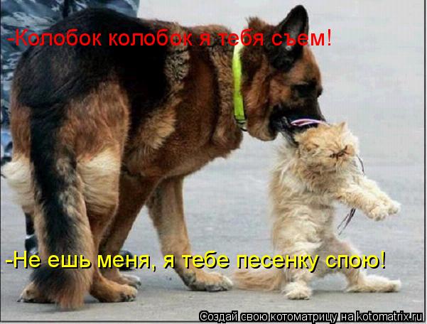 Котоматрица: -Колобок колобок я тебя съем! -Не ешь меня, я тебе песенку спою!