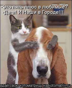 Котоматрица: -Это пять плюс в любимые? -Да-а! И Наши в Городе!!!