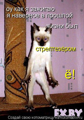оу как я зажигаю я наверное в прошлой жизни был стрептезёром ё!... Котоматрица: оу как я зажигаю я наверное в прошлой жизни был стрептезёром ё!
